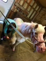 28379519_1687558571303566_761588478451202359_n