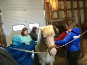 28424089_1687558427970247_7570084702778172388_o