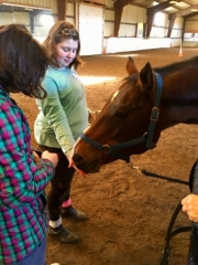 28467804_1687558577970232_3196826815225602331_n