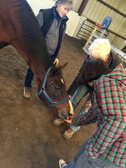 28467980_1687558497970240_2924614037759082311_n