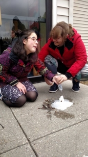 28471268_1687563364636420_1534510217279372183_n