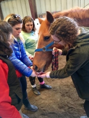 28471420_1687558761303547_3366694909085487339_n