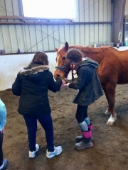 28575877_1687558647970225_6350471536512384697_n