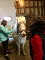 28577195_1687558247970265_1578986663906659795_n