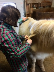 28660679_1687558604636896_6146111568884824549_n