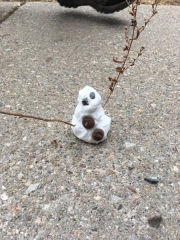 28661040_1687563284636428_1455224295375357162_n